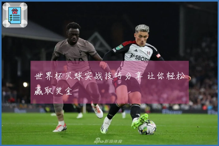 世界杯买球实战技巧分享 让你轻松赢取奖金