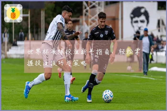 世界杯滚球投注新手指南，轻松掌握投注技巧与策略