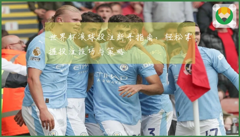 世界杯滚球投注新手指南，轻松掌握投注技巧与策略
