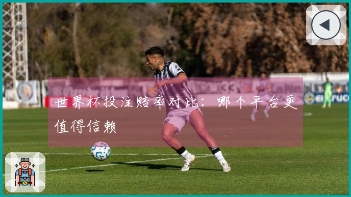 世界杯投注赔率对比：哪个平台更值得信赖