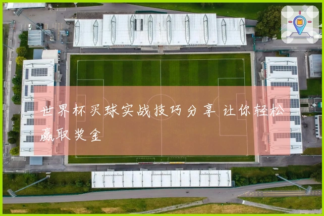 世界杯买球实战技巧分享 让你轻松赢取奖金